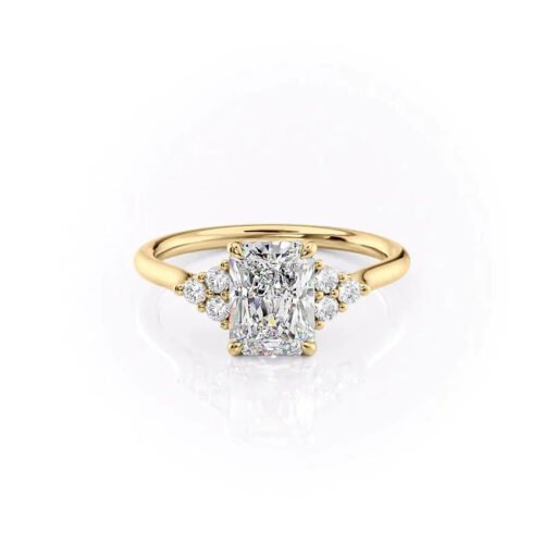 3ct Radiant with Accent Stones